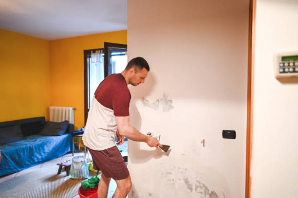 Best Home Mold Removal  in Napoleon, OH